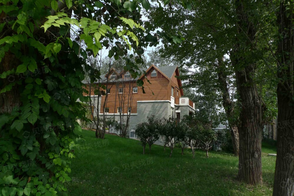 温哥华森林相册