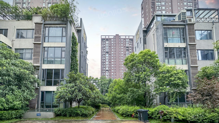 泉上花间外景图