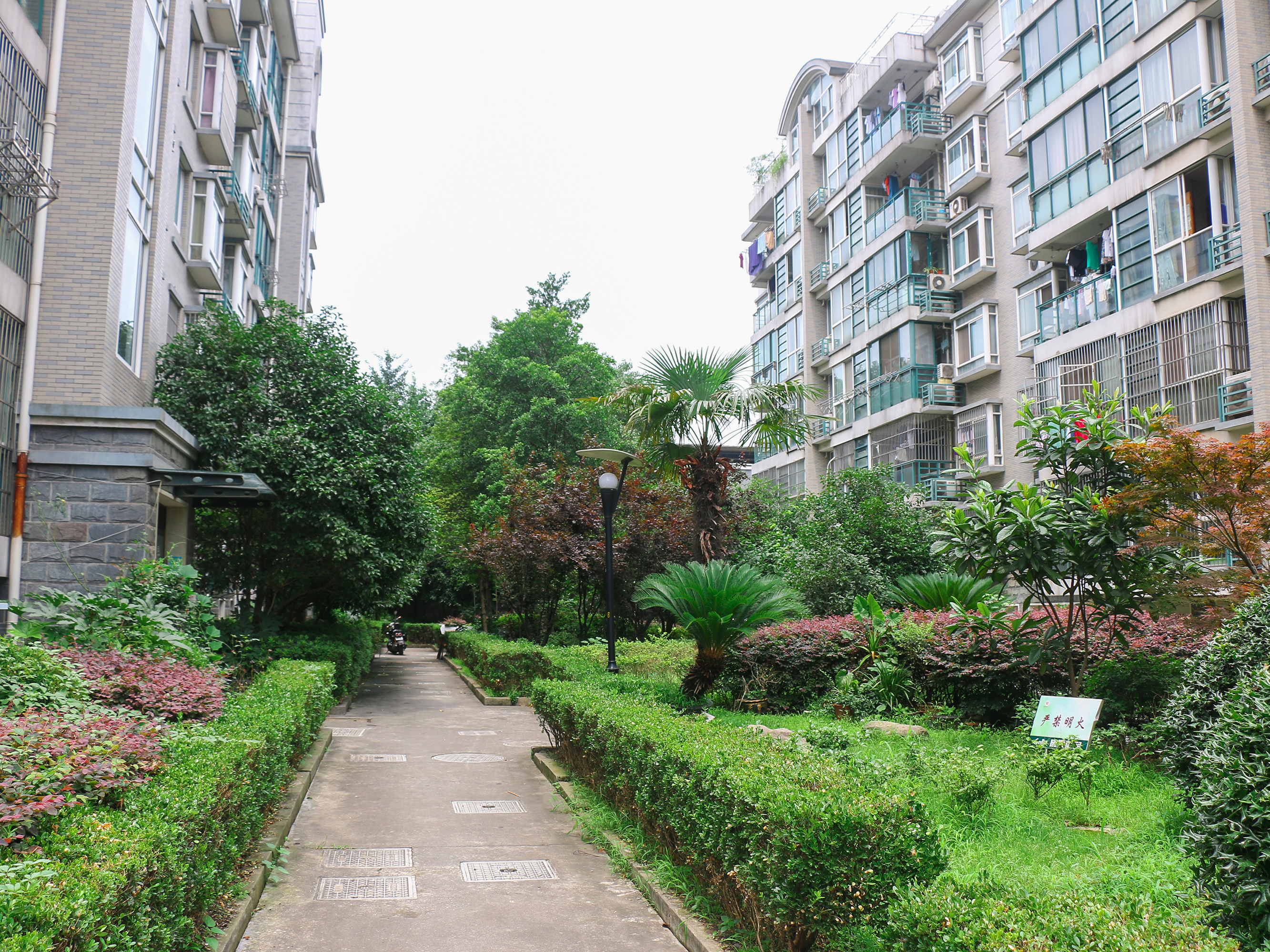 天成嘉苑小区实景 19