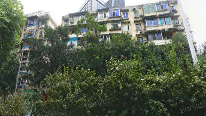 文武路77号外景图