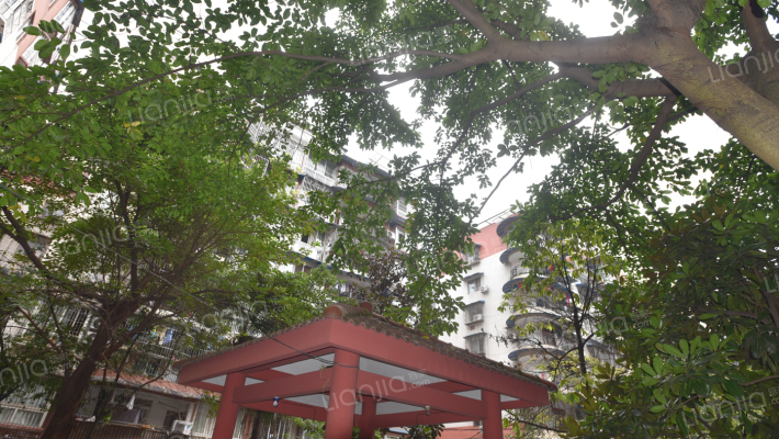 锦湖花园外景图