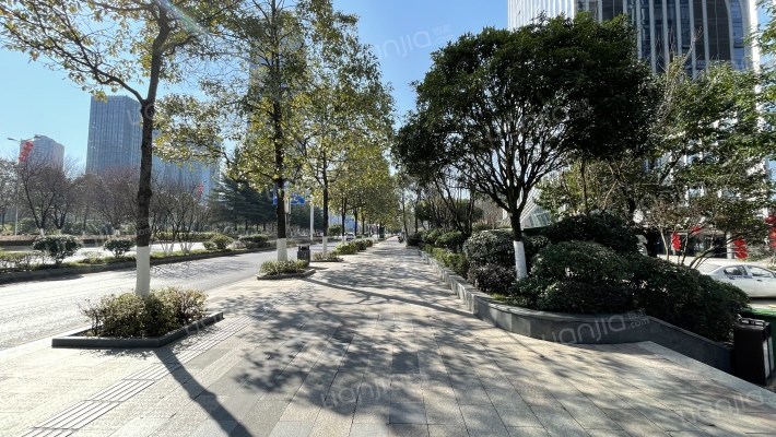 天一国际外景图