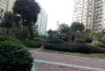 统建同安家园户型图实景图