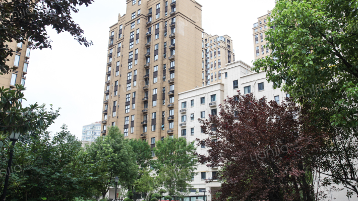 大鸿城龙园外景图