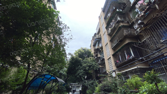 成科路10号外景图