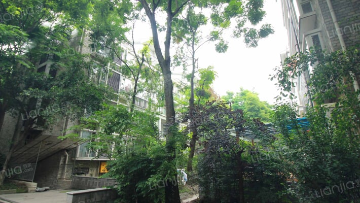 七彩花都A区外景图