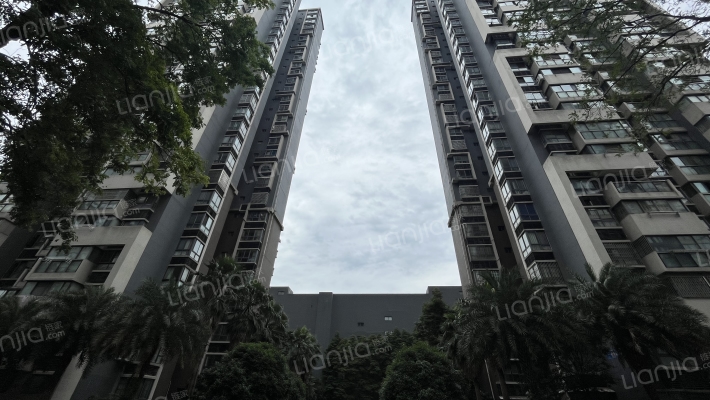 都江明珠外景图