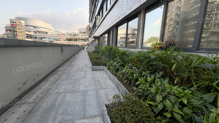 桃源居国际花园九区外景图