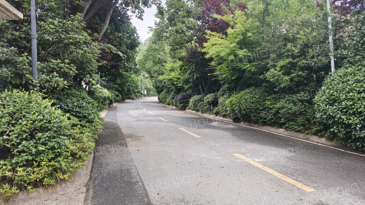 牧龙原墅外景图