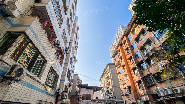 文星路81-1号外景图