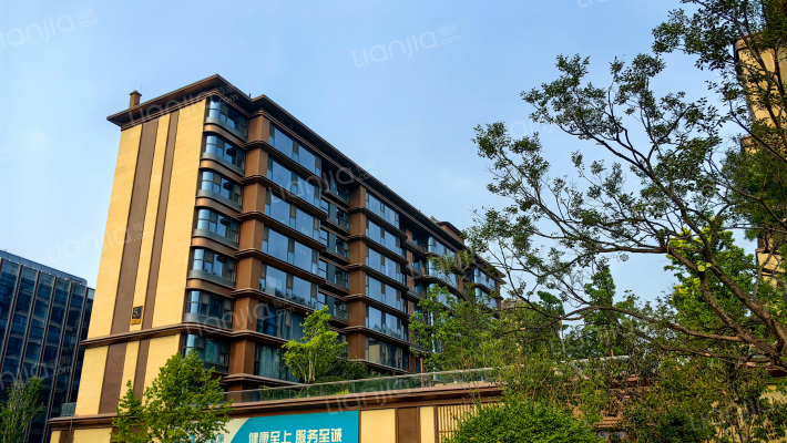 金麟企业家外景图