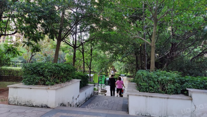 中萃花城湾外景图