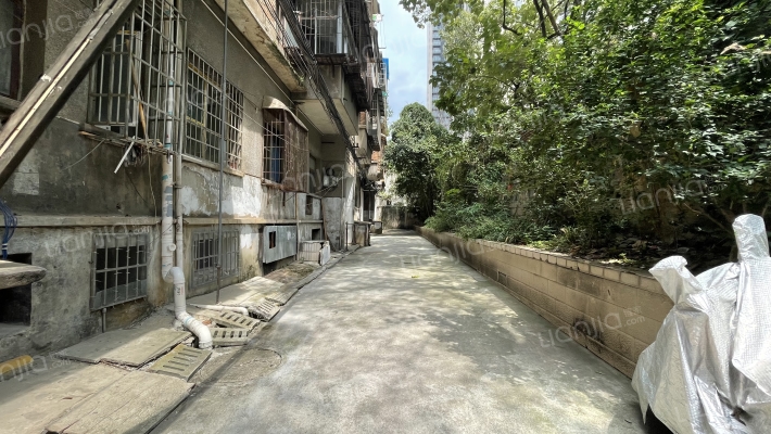 黄河路222号外景图