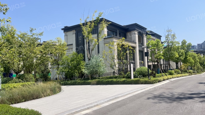 华侨城天澜美墅三期外景图