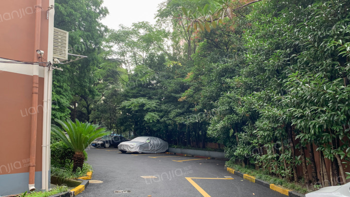 马华大楼外景图