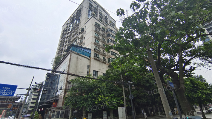 白领尊邸外景图