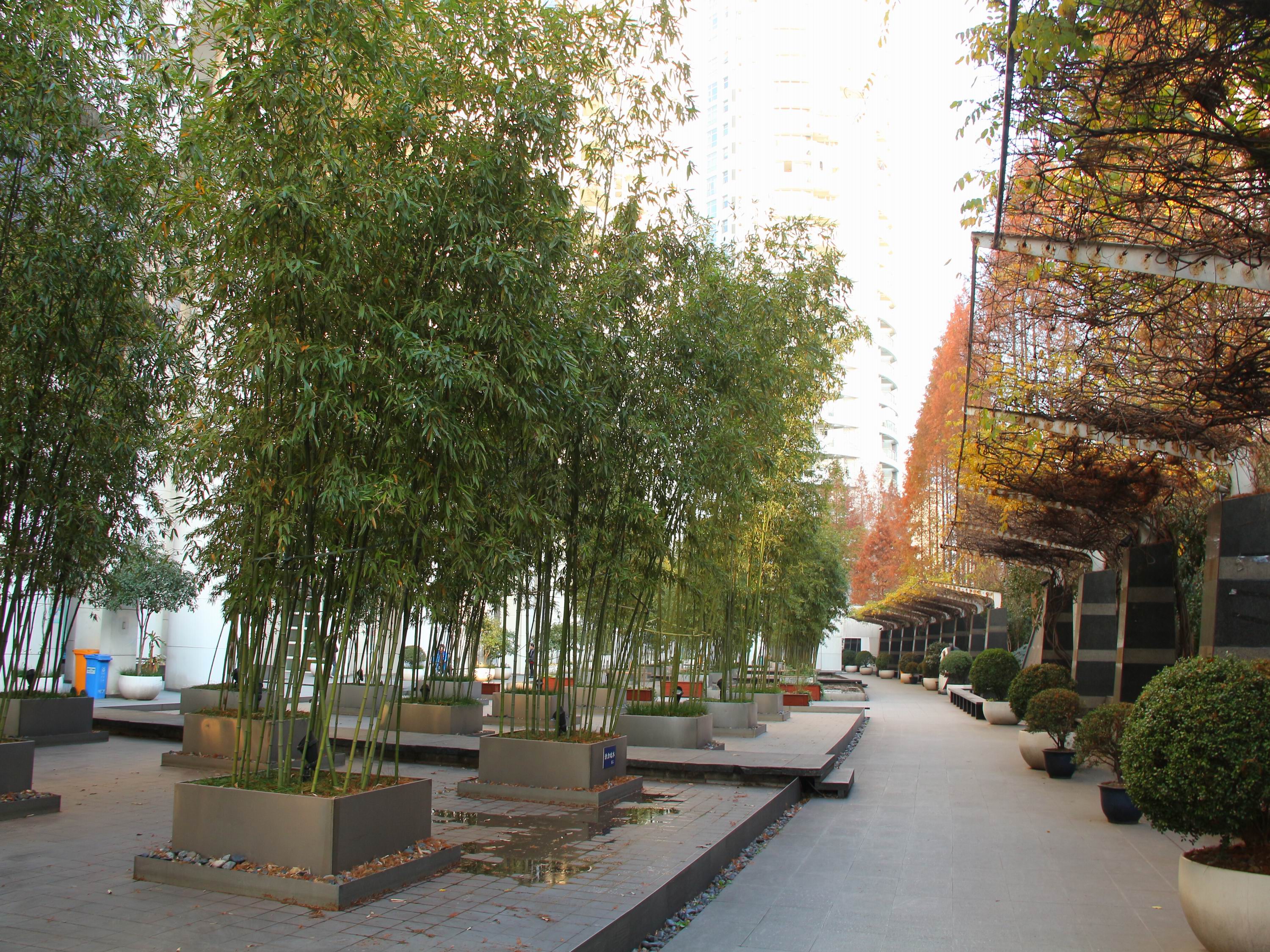 南都银座小区实景 18