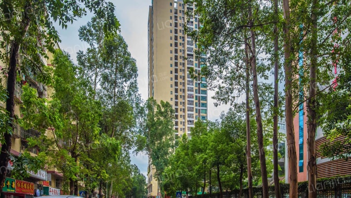 黄金富苑B区外景图