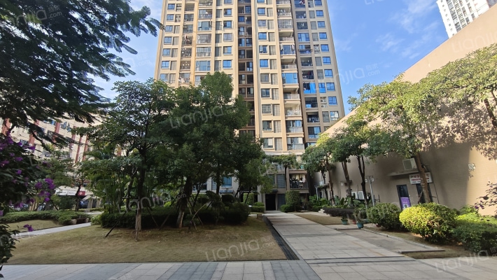 莲花国际C区外景图