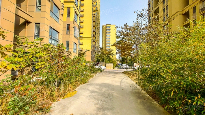 大卢家疃经济适用房小区外景图