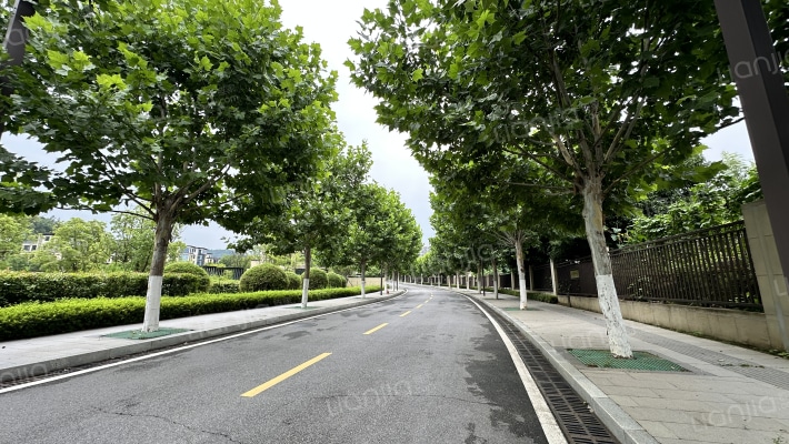 麓隐青竹湖外景图