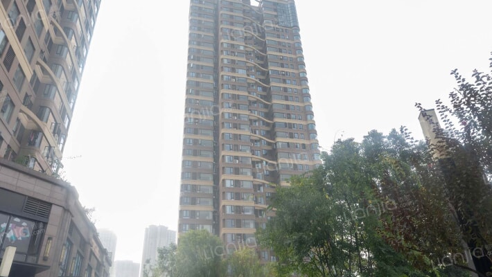 金辉城江城上外景图