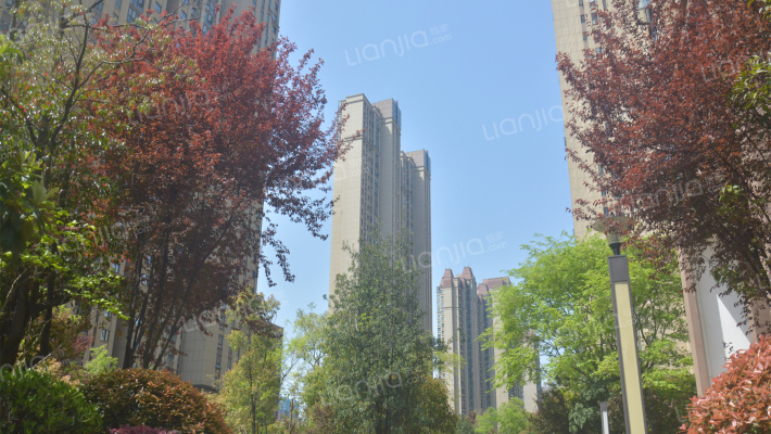 芙蓉万国城MOMA外景图