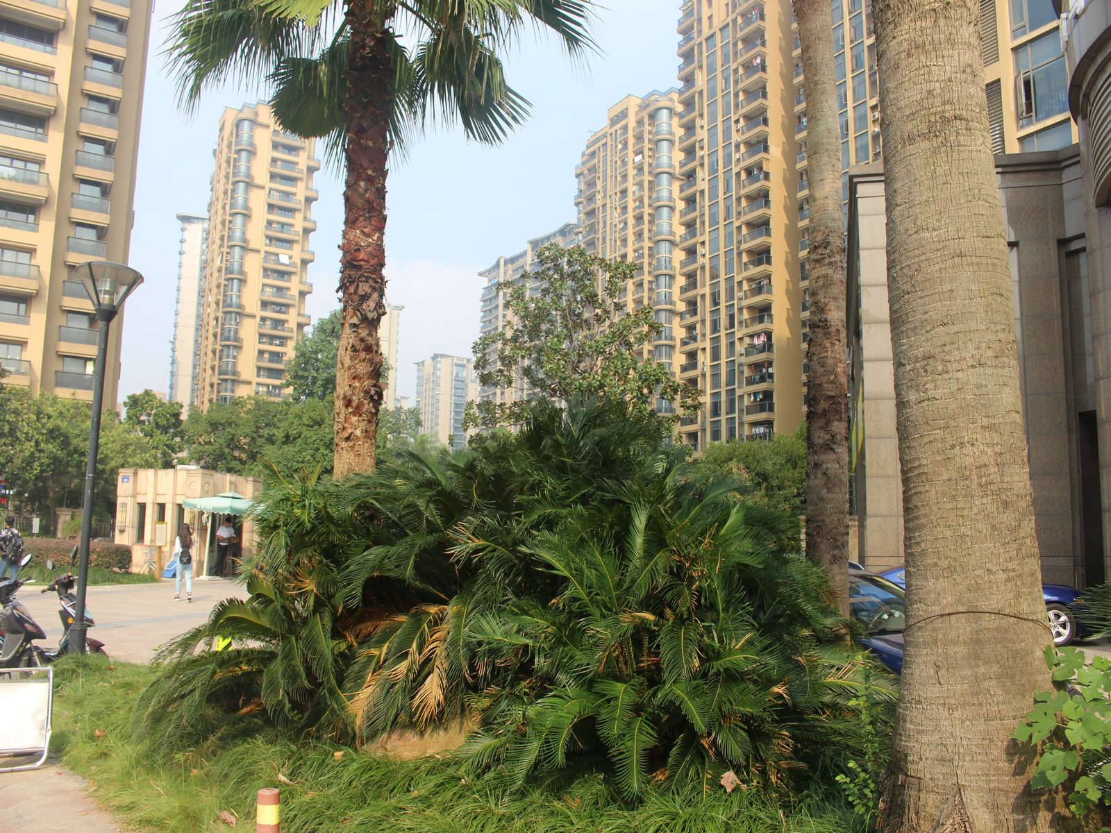 万家花城小区实景 15