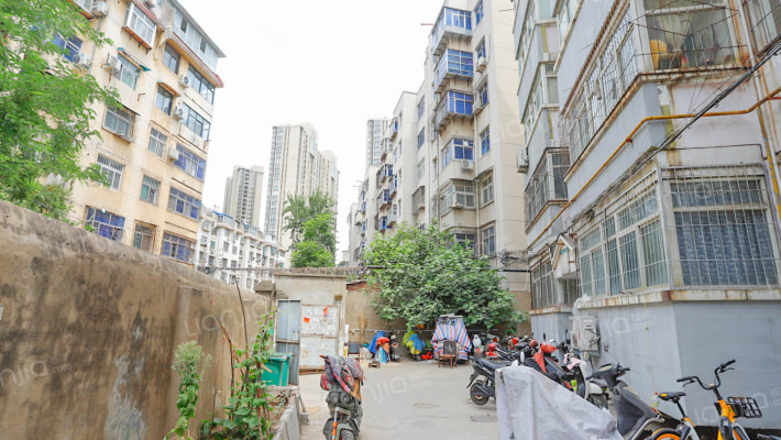 桐柏北路外景图