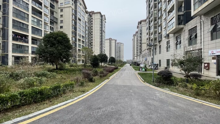 星河社区外景图