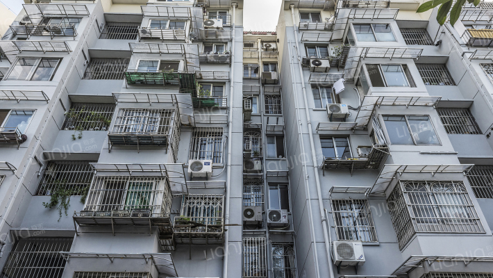 大树路3号外景图