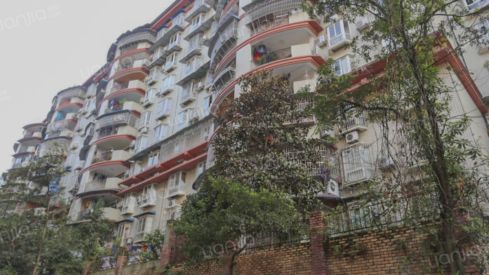 兴学园一巷外景图