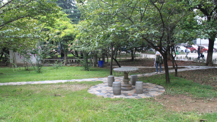 凤凰西街239号外景图