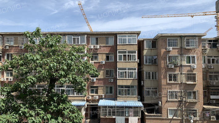 红松园1号内外景图