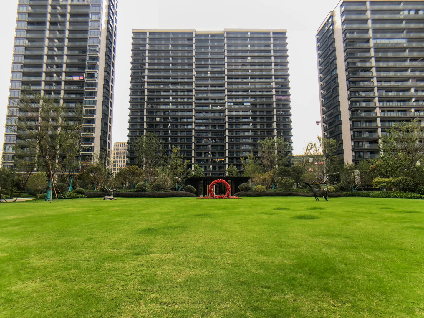 阳光城文澜府小区实景 24