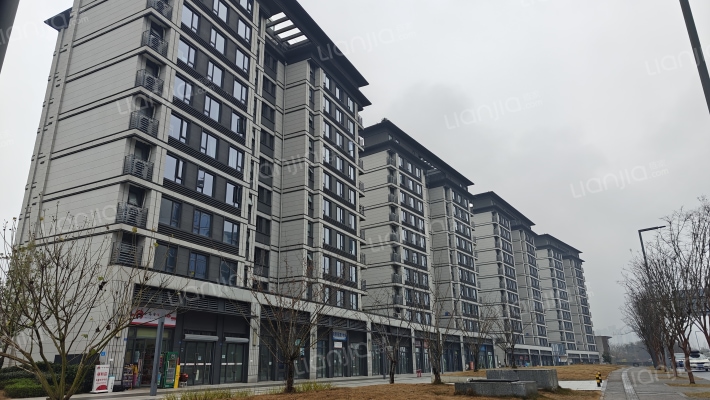 龙湖天境外景图