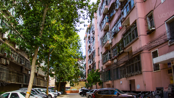 市税务局宿舍外景图