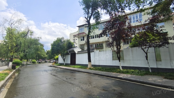 新加坡商业街205号外景图