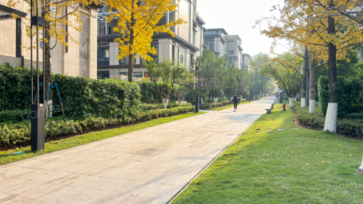 兰庭序资源外景图