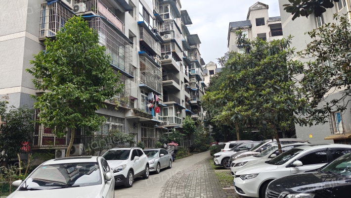 洪福秀景外景图