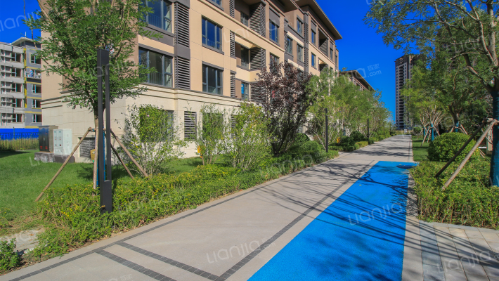 津侨国际小镇外景图