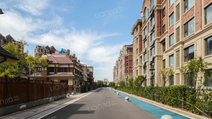 新湖美丽洲外景图