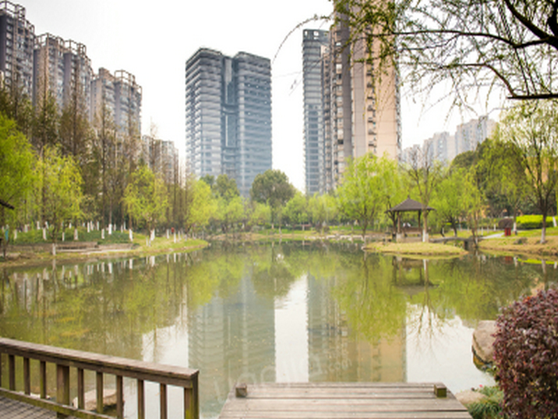 现代名苑小区实景 10