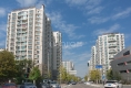 碧水云天户型图实景图