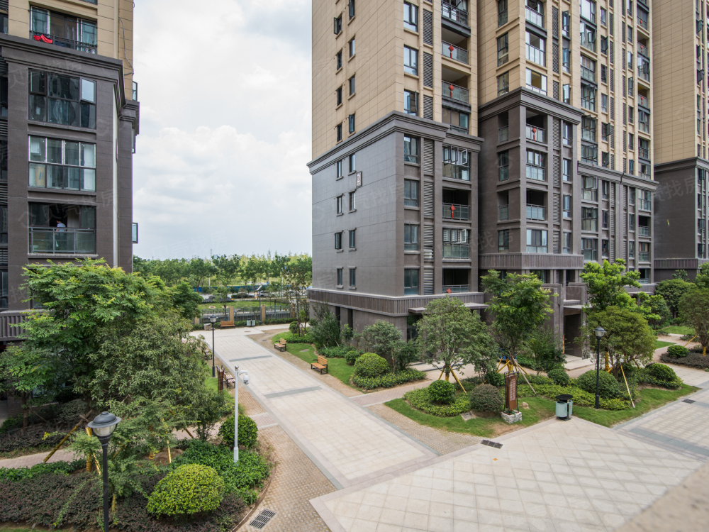 江岸楼盘 后湖楼盘