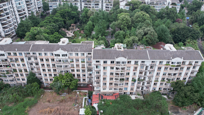 置信丽都花园B区外景图