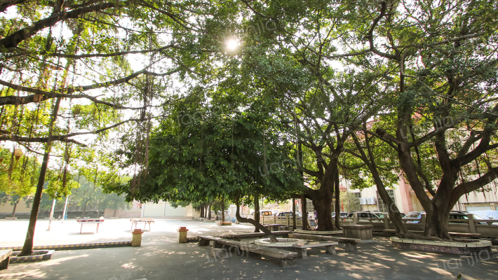 亨美东管一巷20号外景图