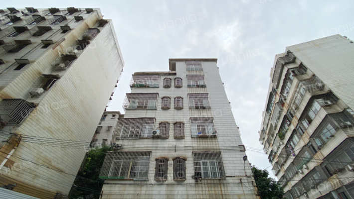 泰山小区外景图