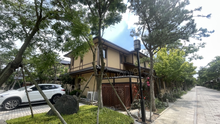 金石万巷外景图