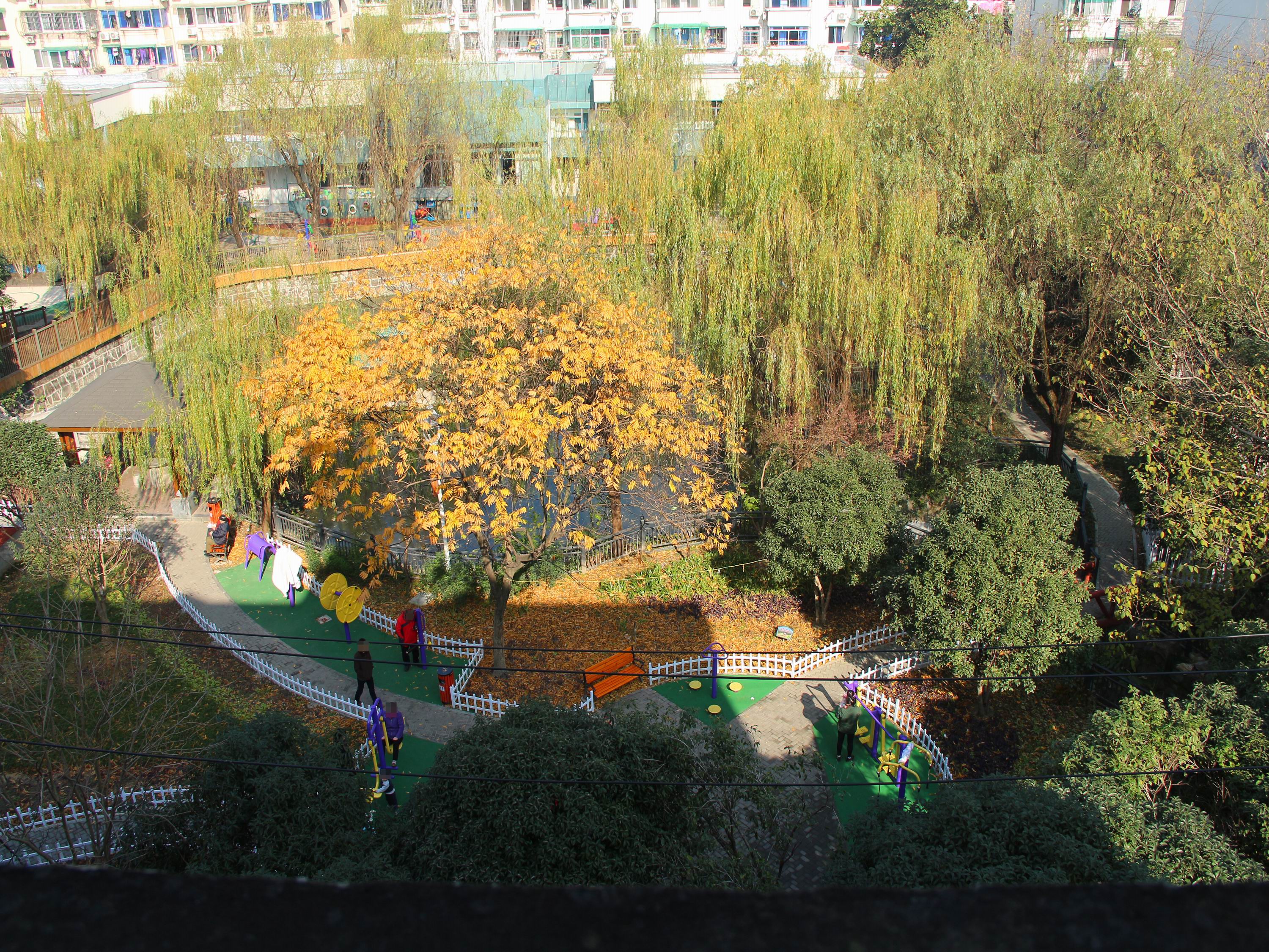 古荡新村东区小区实景 22